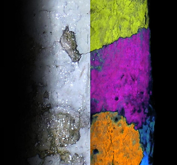 Collage : Une section du tronc d'un arbre couvert de lichen sous une lumière blanche et le même tronc d'arbre sous rayonnement U.V., montrant les diverses couleurs de la fluorescence des lichens.